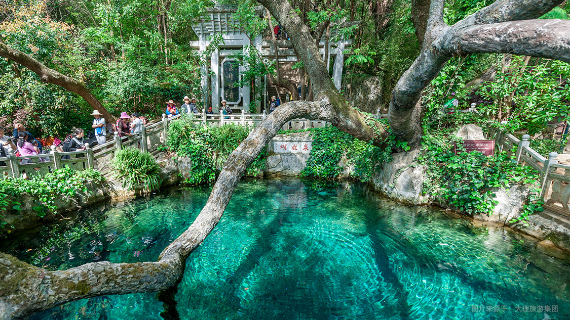 【大理蝴蝶泉天气预报】大理蝴蝶泉最新实时天气,大理蝴蝶泉旅游指数