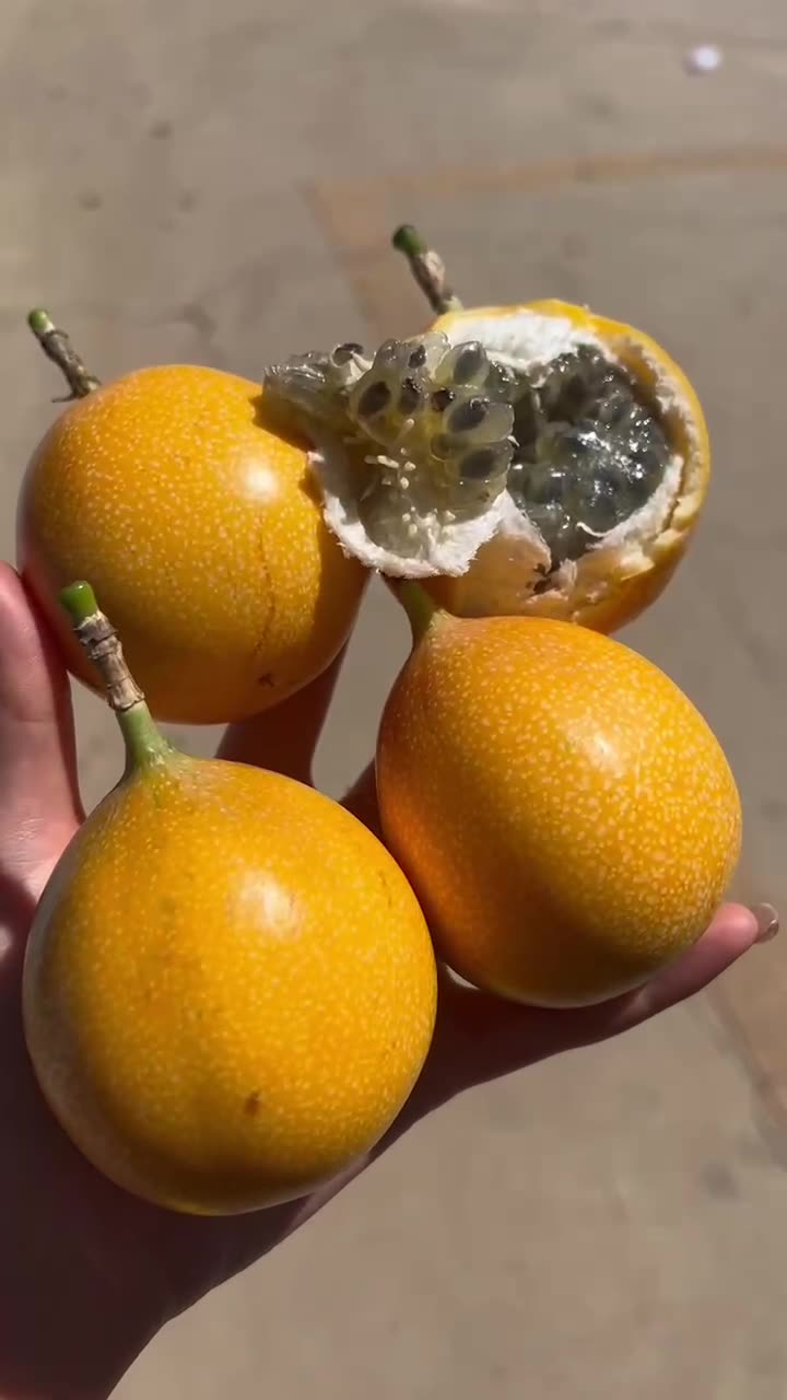 现货云南西双版纳热情果  代发3斤纯甜西番莲黄金百香果新鲜水果