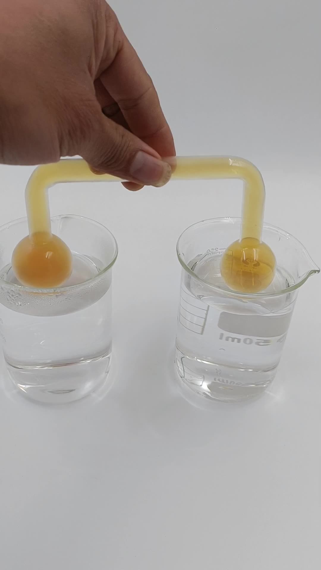 二氧化氮平衡球 二连球 j26031型 化学实验器材 玻璃仪器