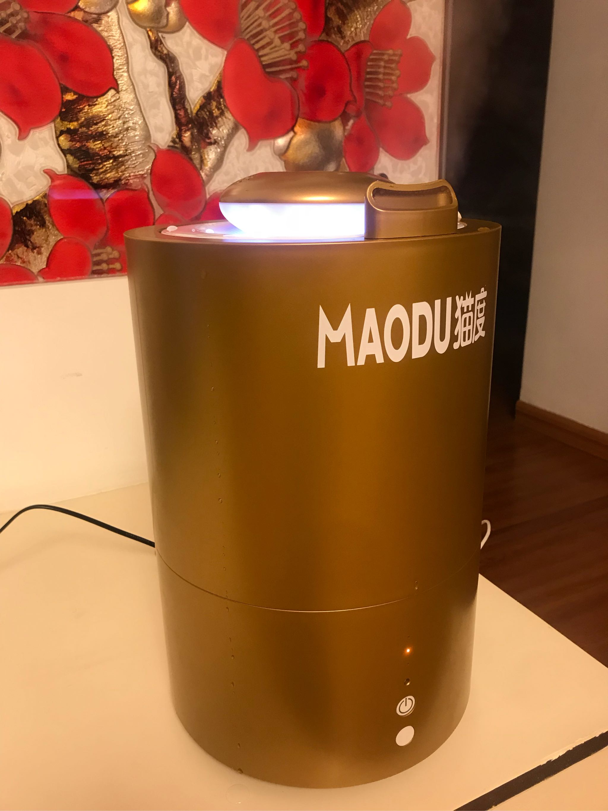 M2加湿器是正规品牌吗？使用后的效果如何_搜券