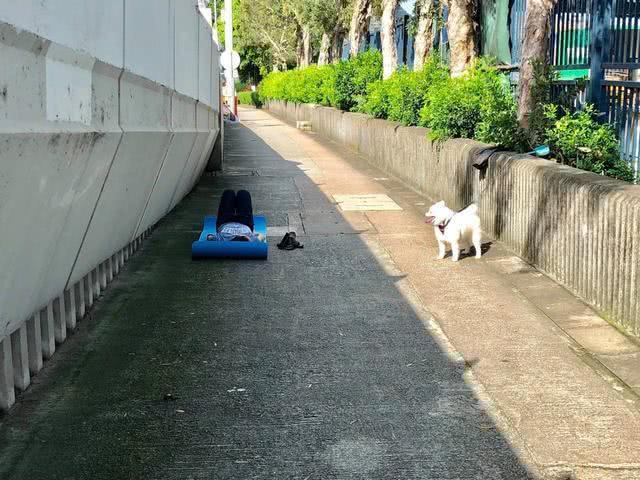 趣值买