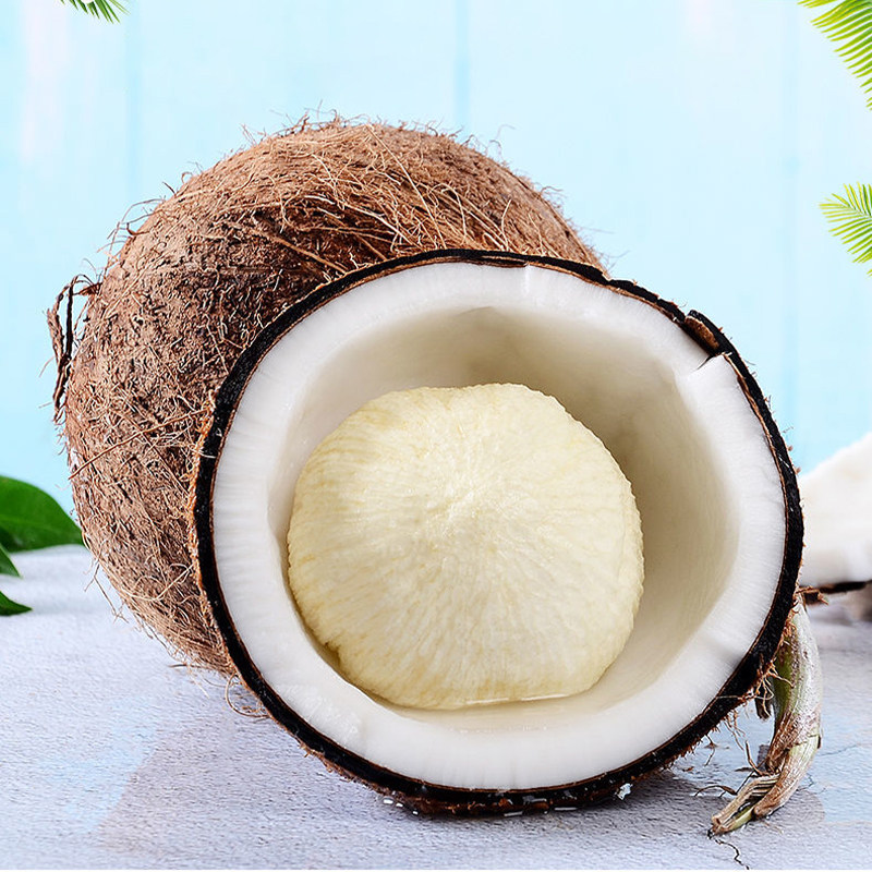 海南牛奶椰宝椰子饼椰子芯发芽椰子