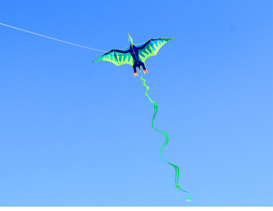 新款潍坊冰火翼龙风筝大型高档成人儿童风筝线轮初学者微风易飞_爱兜