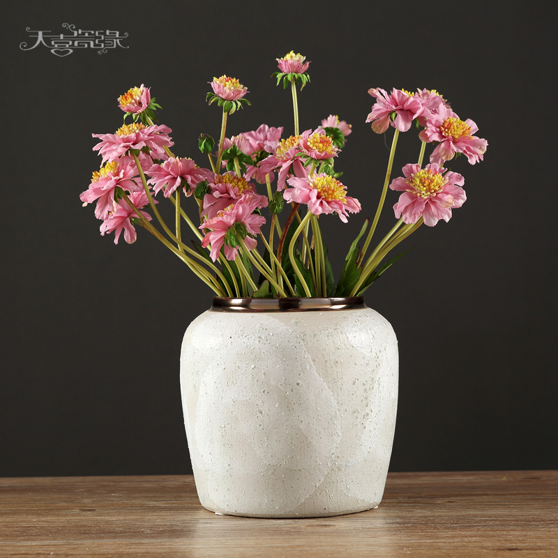 Modern European ceramic vase furnishing articles creative living room table small pure and fresh and dry flower arranging, coarse pottery home decoration