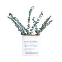 Immortal eucalyptus leaf dried flower real flower flower flower decoration decoration decoration eternal flower natural dried flower fresh art bouquet