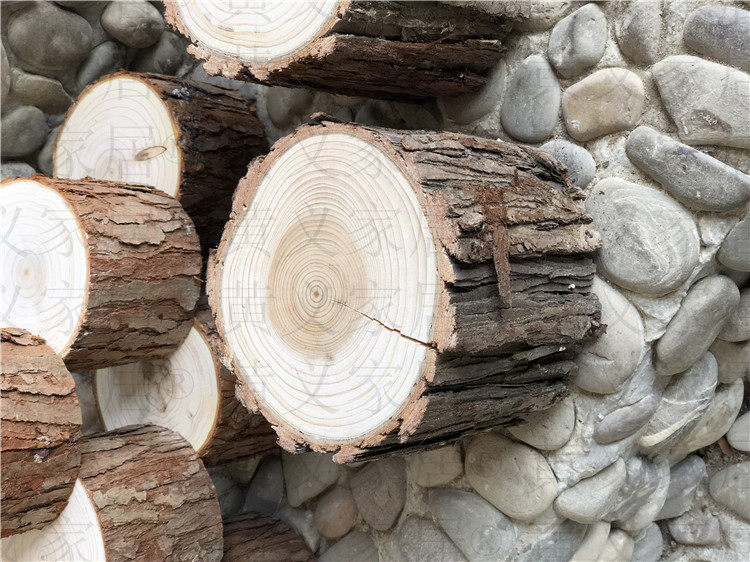 包邮小树桩木头摆件木桩原底座杉树摄影拍照手工diy装饰复古怀旧