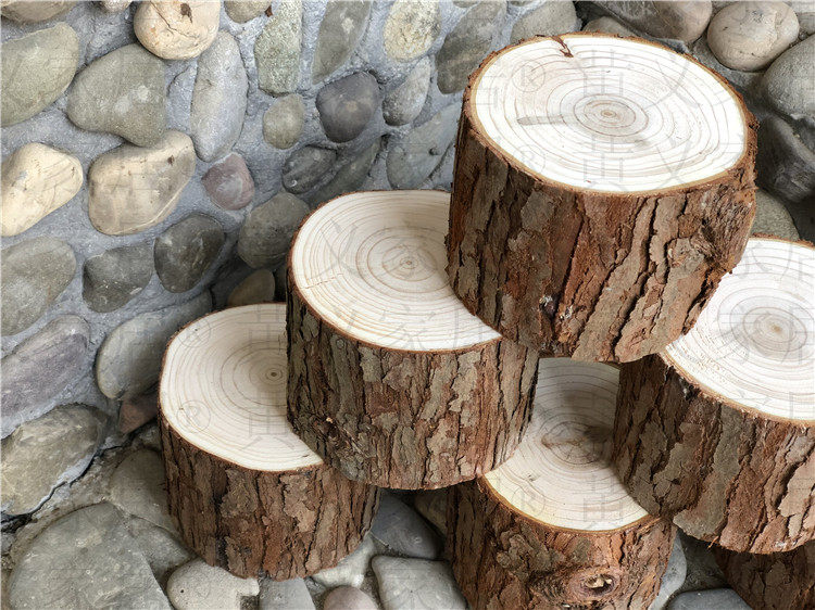 包邮小木桩底座摆件树桩原木头杉树摄影拍照手工diy装饰道具展示