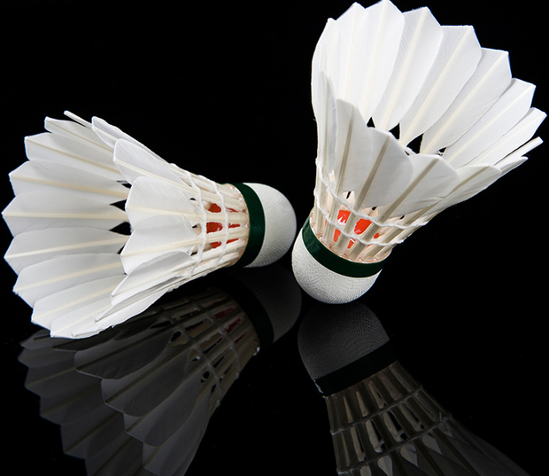 耐打王 1筒包邮 飞羽正品鹅毛12只装羽毛球h2 比赛训练用厂家直销