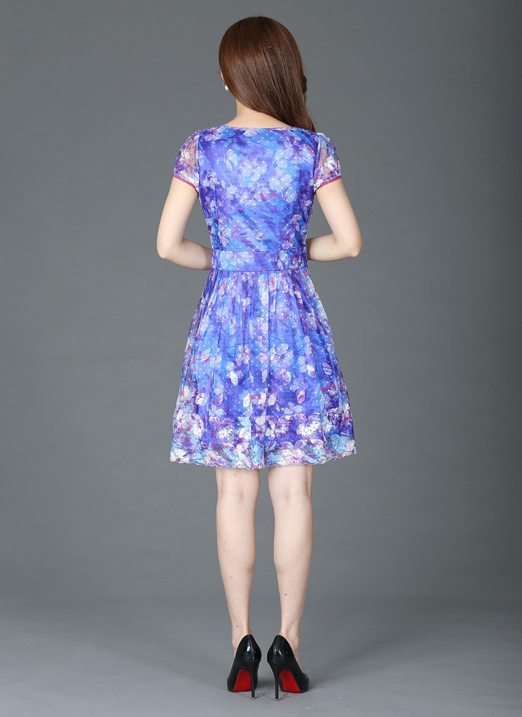 夏装新款高档刺绣蕾丝短袖连衣裙(货号 cq231)