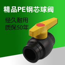 PE pipe connector D20-110 PE steel core ball valve PE pipe fittings PE pipe fittings PE valve PE ball valve