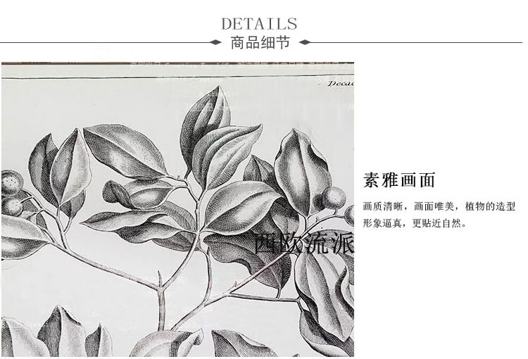 美式装饰画客厅实木乡村挂画三联画植物花卉有框黑白素描画进口画