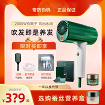 Sushi Hair Mask Hair Dryer Negative Ion Hair Care High Power Collagen Hair Dryer Hot and Cold Wind Speed Dry Household