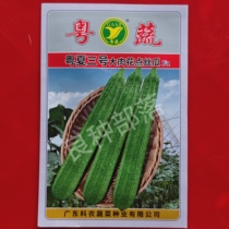 10g Guangdong Vegetable Brand Yuexia No. 3 Big Flesh Spot Loofah New Product Guangdong Academy of Agricultural Sciences New Heat-resistant Loofah
