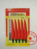 Thailand imported Dayan Red Chaotian pepper F1 (5 grams)base planting Thai single-born Chaotian pepper seeds