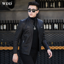 Leather leather clothing mens collar short slim leather jacket sheep leather locomotive Haining single skin thin spring coat