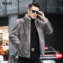 American imported mink coat mens whole mink iron gray stand-up collar jacket short fur mink fur winter coat