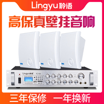 Ling language TB6D wall-mounted audio shop special supermarket restaurant milk tea shop Hotel hanging wall wireless Bluetooth speaker