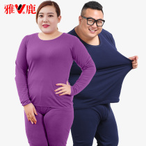 Yalu Plus Size Autumn Clothes & Pants Set Women 200 Men Fat Cotton Plus Fat Plus Cotton Underwear Shirt Shirt