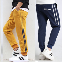 Boy Pants Autumn winter 2022 New trendy loose casual pants Boy handsome sports bunches Pants Kids Clothing