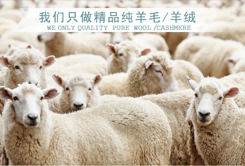 出口日本高端 羊绒围巾披肩 纯山羊绒 200支纱戒指绒 腰果花提花_服饰