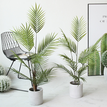 INS Nordic wind loose tailed sunflower green plant noble concubine black plastic anchovy set floor cement potted decorative ornaments