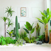 Simulation green plant Cacti Creative Pendulum Piece Net Red Folk and Decorative Soft-sample room matching shop window cloth exhibition building view