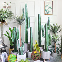 ins Nordic emulation cactus green planting fake fairy post potted desert large plant shop window building decoration