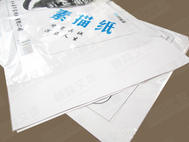 双宝4k素描纸 练习素描纸 铅画纸 120克 每袋20张 批发 美术用品