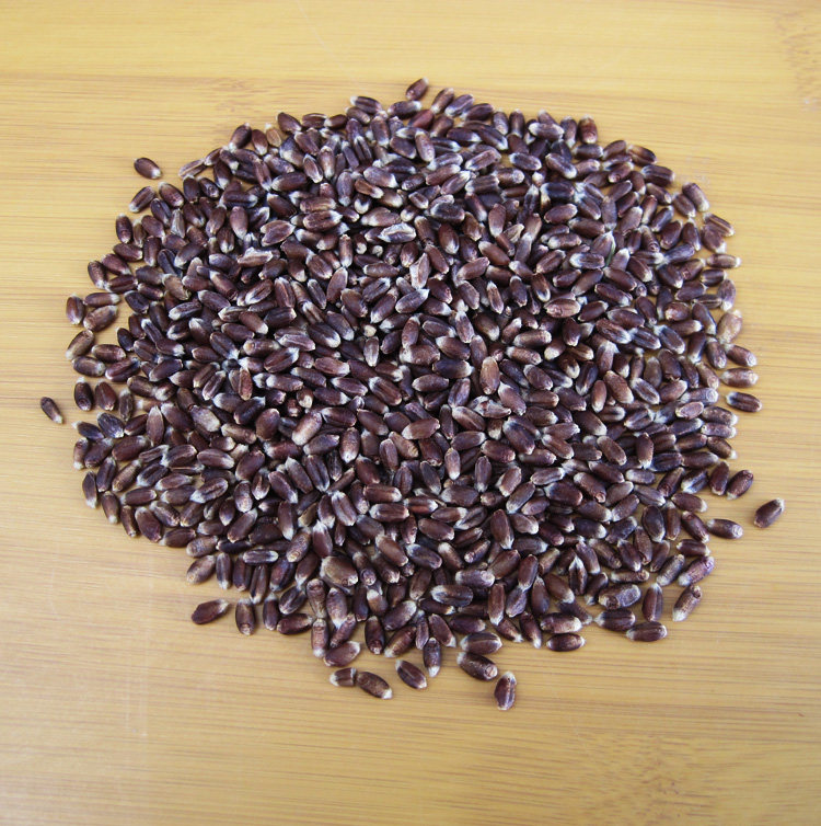 农家黑小麦黑麦米原粮黑麦种子黑小麦2.