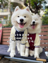 Soap Diary Dog 2022 New Autumn Winter Baseball suit jacket Samoye Golden Mullah Brado Autumn