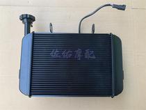 Race 250 QJ250GS-29E water tank Radiator composition Fan cooler original