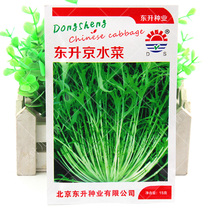 Dongsheng Beijing water vegetable seeds Crystal vegetables good quality cold-resistant growth fast Four Seasons balcony potted vegetable seeds