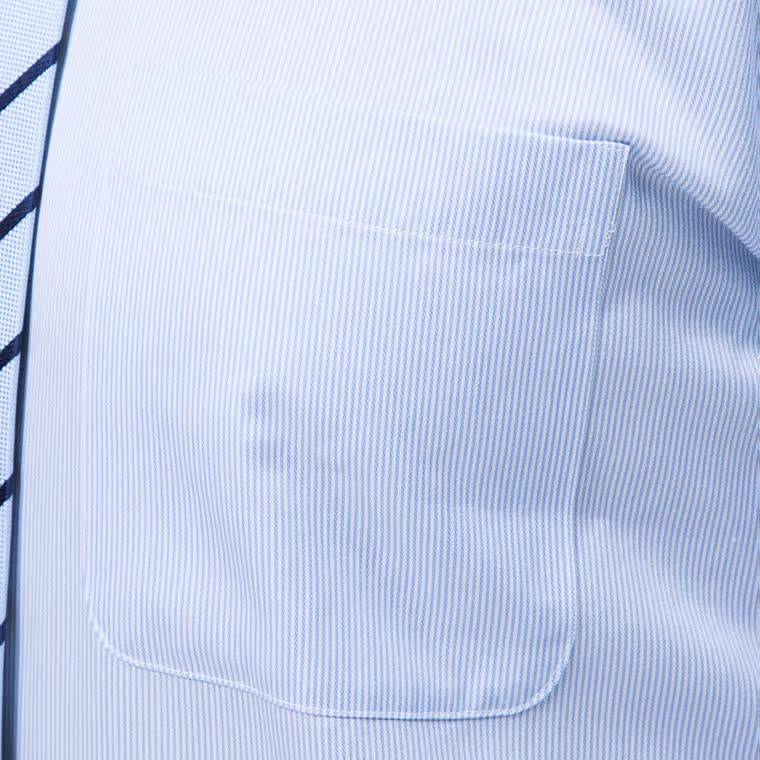 Busen/步森2015秋季新品 男士全棉条纹商务长袖衬衫 职业男衬衣