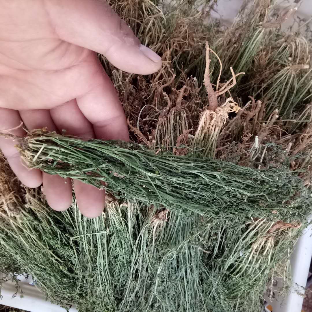 绿色药材 健康人生 是我的经营理念 , 您的