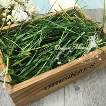 (Small pet forage)dried wheat seedlings 250G spray incense to protect the stomach and grind the back teeth ②