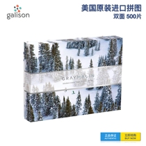 Galison-Gray Marin《in Sea Snow Field》 Import Double-Face Puzzle-GRAY MALIN PUZZLE