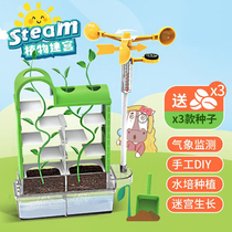 Children Plant Maze Potted Plant Observation Water Earth Peplanting Growth Nursery Ecological Meteorology Science Experimental Teaching Aids