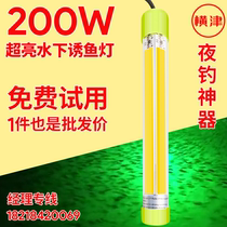 Ice fishing male fish Whitebait 12v underwater fishing light Lure fish light Yellow light gather fish light Underwater squid light Night fishing light