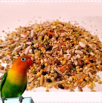 parrot no shell grain parrot sky small parrot without shell feed 250g split up suitable for hu peonies little sun