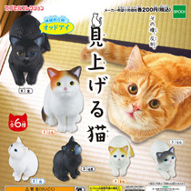 Japanese egg twisting toy Cat looking up Little cat Small animal Egg twisting toy decoration model