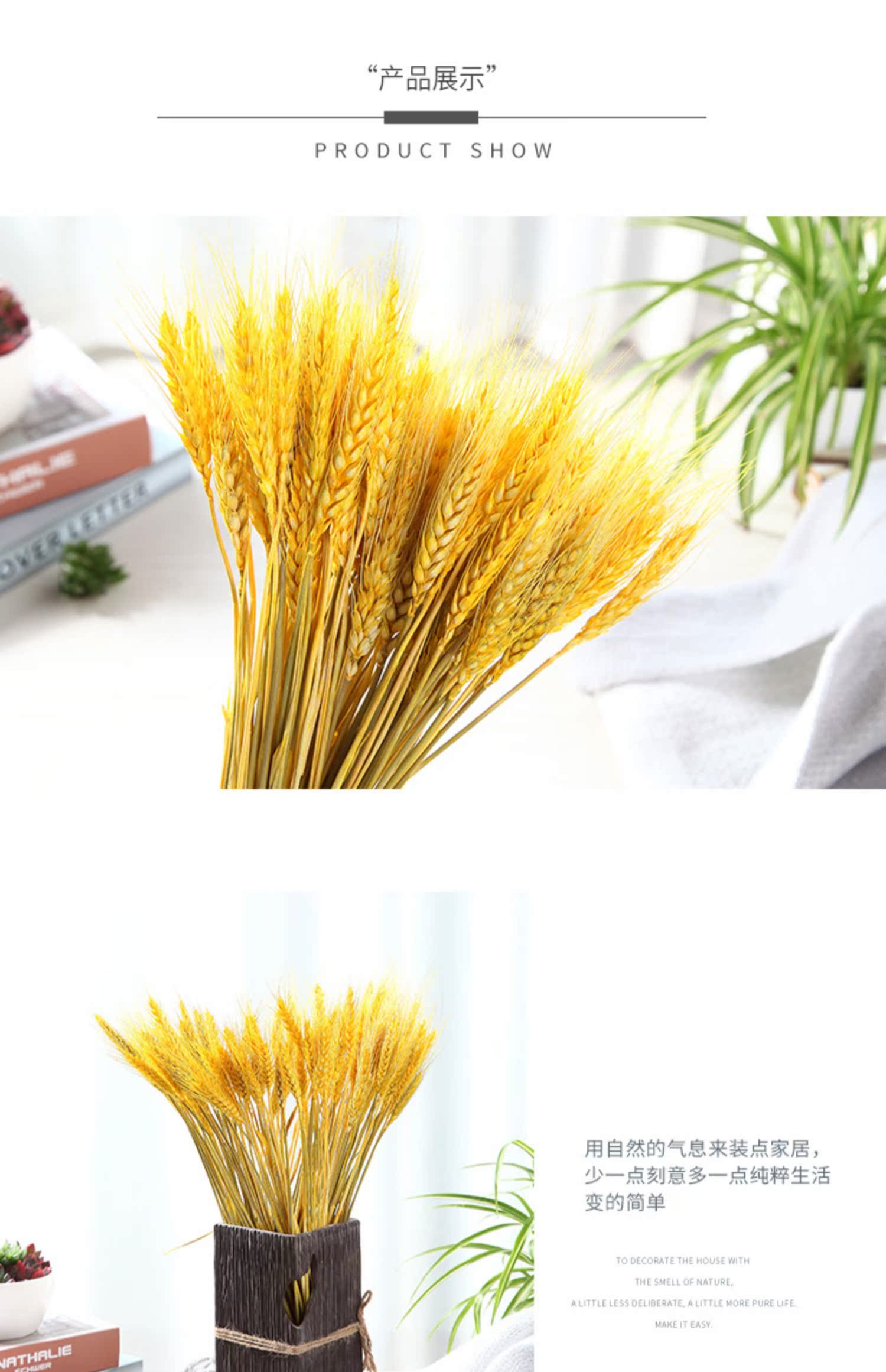 大麦穗花束麦穗麦穗花束麦穗小麦真花束家居装饰拍照摆放花艺单只