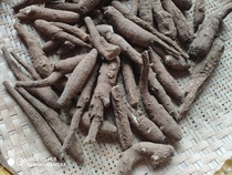 Fire Shentang Traditional Chinese herbal medicine Sichuan Natural Colors without sulphur Chuan Angelica Alone angelica sweet angelica 500 gr