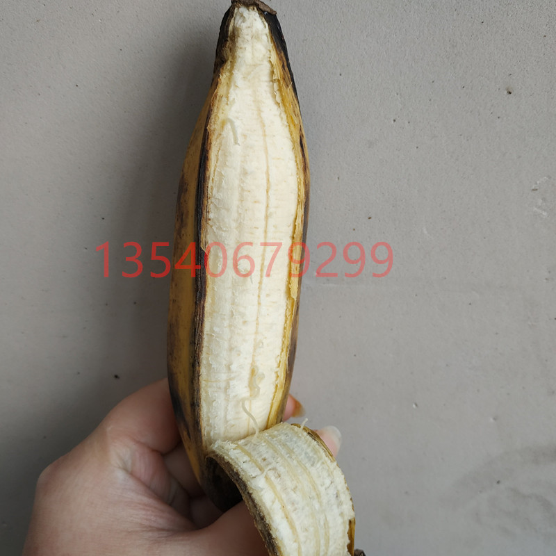 plantain fresh banana 10 kg with box, sweet and sour plantain, horned banana, bajo plantain, non-powdered banana, millet banana