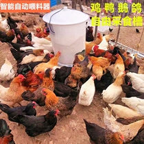 Chicken farm feeder Farm automatic feeder Chicken duck goose pigeon free feeding tank Poultry farming feeding tank