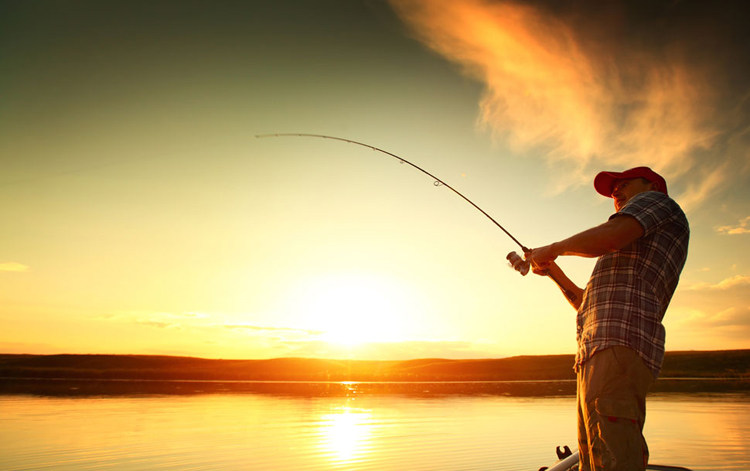 秋天的鱼儿开始肥美一块儿钓鱼去吧