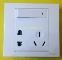 Schneider EV15 10US two-three pole with switch socket