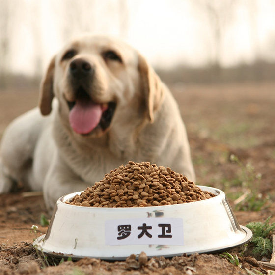 새로운 맛, 수제 개밥, 15파운드 사이즈, 소형견 중형견 일반형, 4종 고기로 만든 새로운 맛, 수제 개밥, 15파운드 사이즈, 소형견 중형견 일반형, 4종 고기로 만든