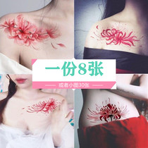 Peer tattoo tattoo Wei Memman Wazhu San Original Dream Tattoo Tattoo with Large Grand Scarl