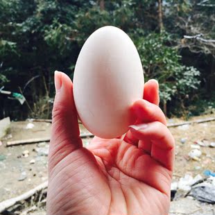 农家 野生鲜鸭蛋 农家生鸭蛋 鲜生鸭蛋3斤装 微山湖麻鸭蛋 野生鸭蛋