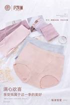 Lady Ikeelyns underwear big code Modale cotton quality antibacterial mom Fat MM180 catty High waist shorts 7880